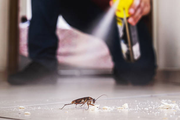 Best Best Pest Control Companies  in West Milton, PA